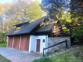 Apartament Pod Bukiem